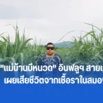 แม่บ้านมีหนวด